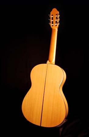 Flamenco guitar - back